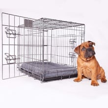 Hammertone Grey Steel Mobile Pet Crate